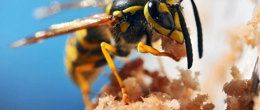 Single Portfolio: Big Slider — photograph 3
